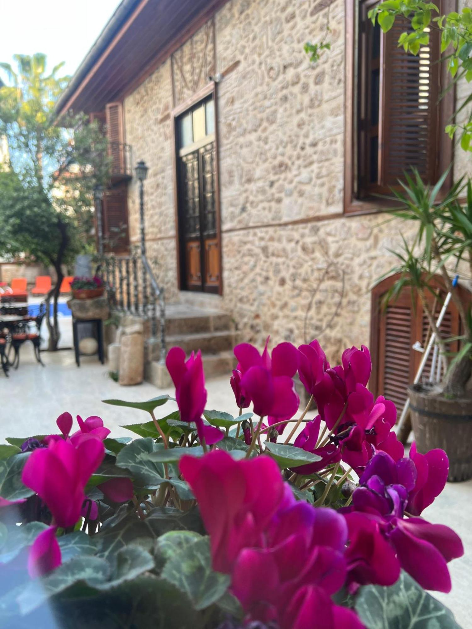 Otel White Garden Hotel-adult Only